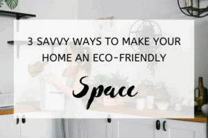 3 Savvy Ways to Make Your Home an Eco-Friendly Space (1)