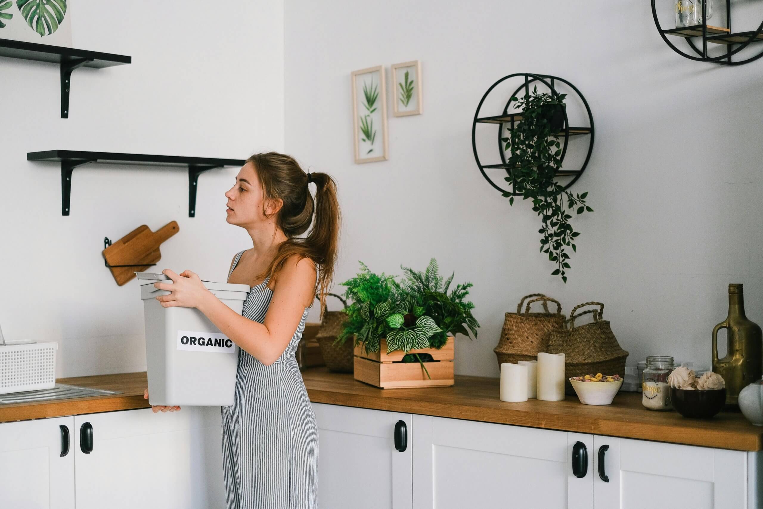 3 Savvy Ways To Make Your Home An Eco-Friendly Space 